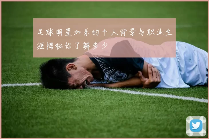足球明星加乐的个人背景与职业生涯揭秘你了解多少