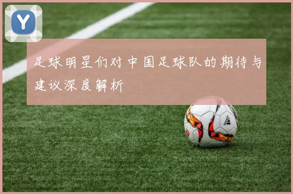 足球明星们对中国足球队的期待与建议深度解析