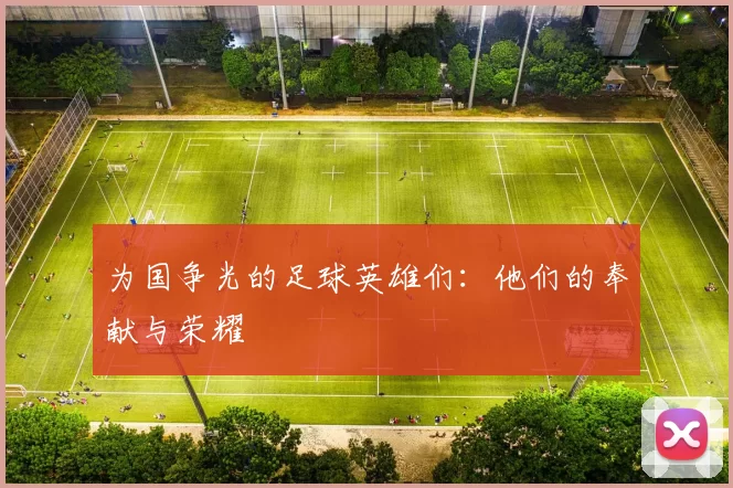 为国争光的足球英雄们：他们的奉献与荣耀