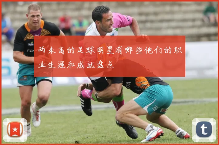 两米高的足球明星有哪些他们的职业生涯和成就盘点