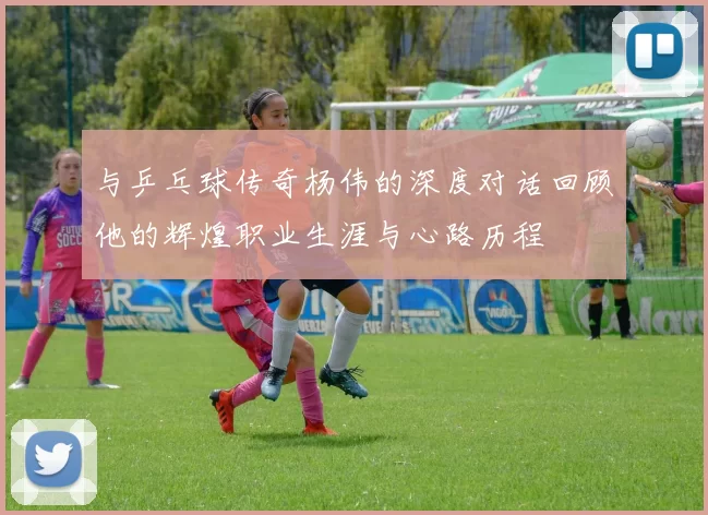 与乒乓球传奇杨伟的深度对话回顾他的辉煌职业生涯与心路历程