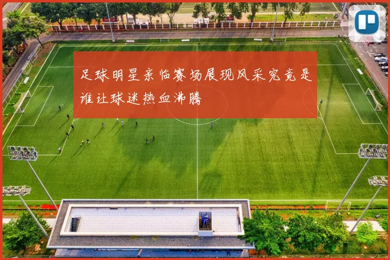 足球明星亲临赛场展现风采究竟是谁让球迷热血沸腾