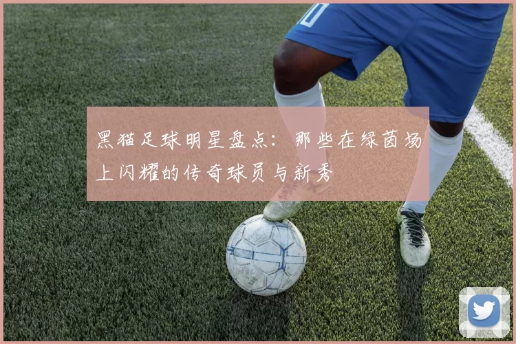 黑猫足球明星盘点：那些在绿茵场上闪耀的传奇球员与新秀