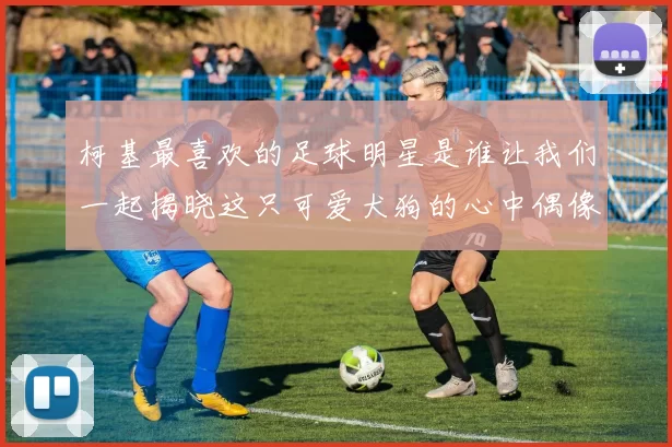 柯基最喜欢的足球明星是谁让我们一起揭晓这只可爱犬狗的心中偶像