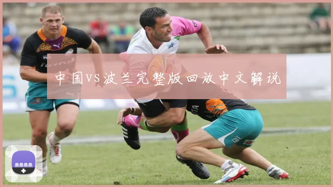 中国vs波兰完整版回放中文解说