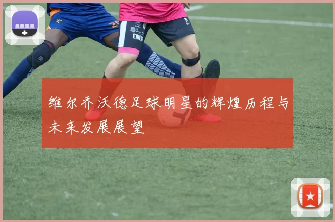 维尔乔沃德足球明星的辉煌历程与未来发展展望