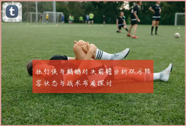 独行侠与鹈鹕对决前瞻分析双方阵容状态与战术布局探讨