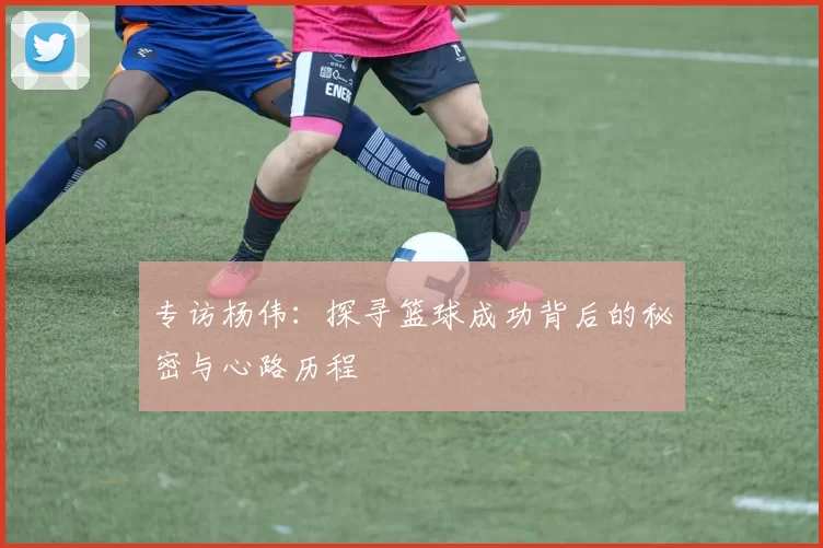 专访杨伟：探寻篮球成功背后的秘密与心路历程